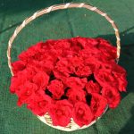 2 Dozen Red Roses In Basket