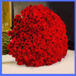 500 red roses bunch local