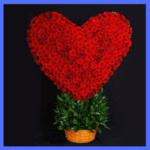 150 Red Roses Arrangment Heart Shape