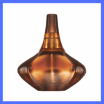 Calvin Klein Secret Obsession Eau De Parfum, Fragrance For Women, 100ml