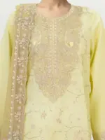 Send 3 Piece Lawn Suit- Embroidered (Unstitched)3