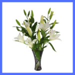 Lily's In Vase